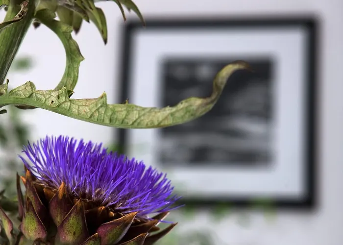 Отель Relais Blu 4*